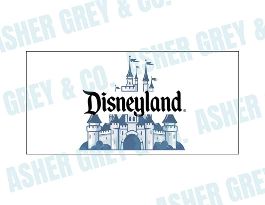 Disneyland Dashboard | A6