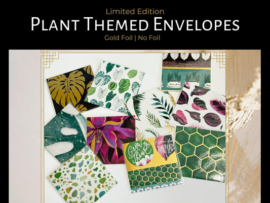 50 Reusable Envelope Savings Challenge With Box